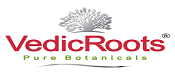 Vedic Roots Coupons